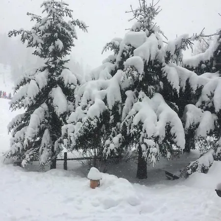 Urige Almhuette אינרקרמס