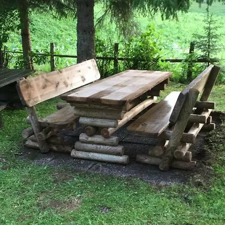 Urige Almhuette 度假居 *