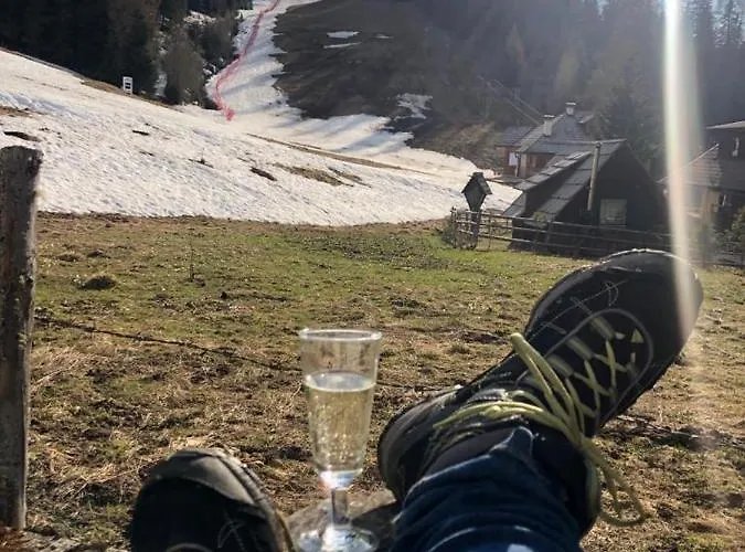 Urige Almhuette Holiday home *