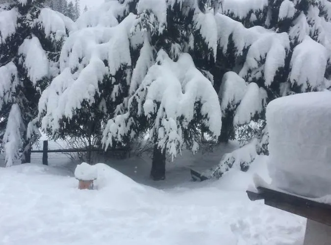 Tatil Evi Urige Almhuette Innerkrems